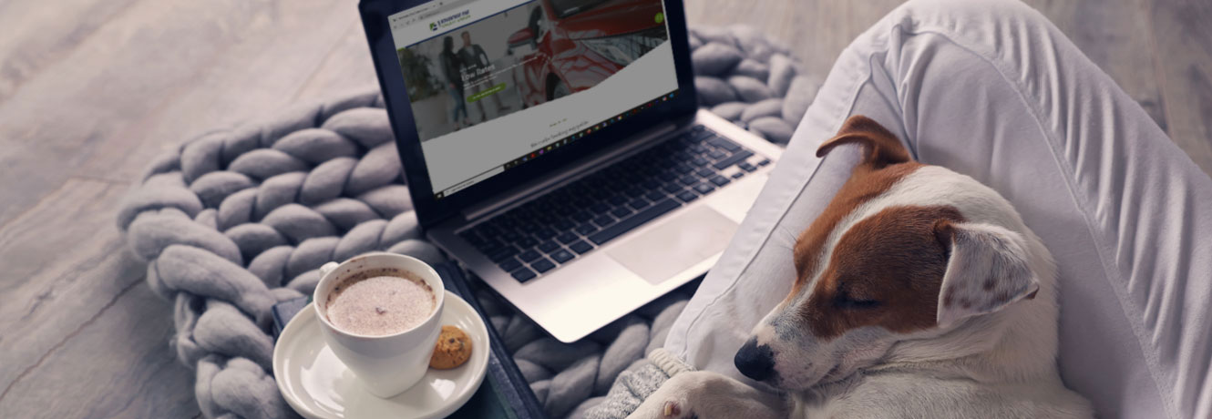 A dog naps on a person's lap as they browse the AOCU website on their laptop.