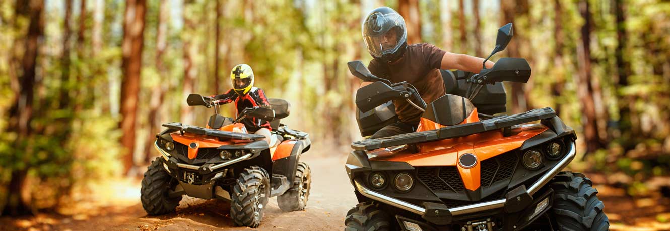 Two people riding quads on trails through mature northern forest